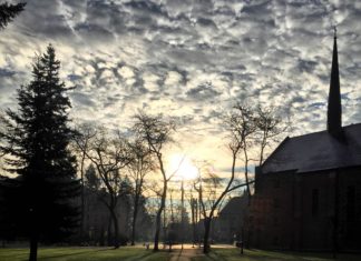 Letter to the Editor: PLU Faculty Call for Policy on Hate Speech