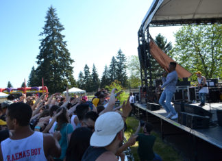 Lolla lineup lacks color