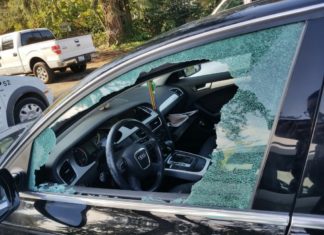 Car prowls plague PLU