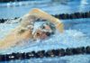 Lute swimmers sweep Willamette, close out 2013 undefeated