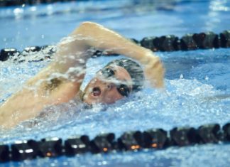 Lute swimmers sweep Willamette, close out 2013 undefeated