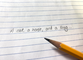 The Oxford comma: is it necessary?