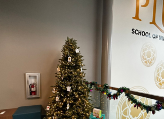 Delta Giving Tree
