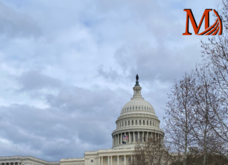 How Washington DC Treats an International PLU Student