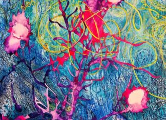 Shadowplay—A University Gallery Exhibit by Mare Blocker