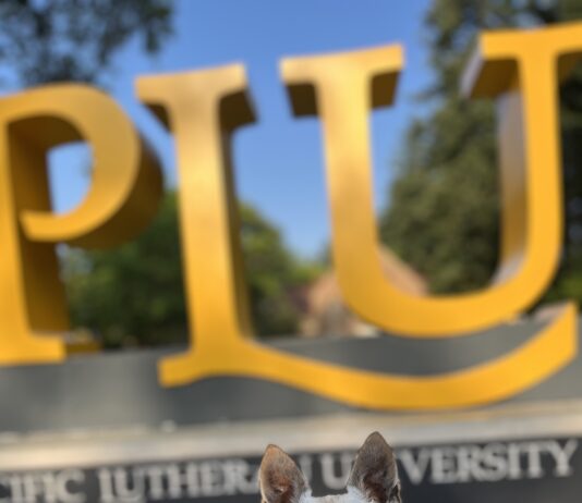 Pets of PLU: Kavi