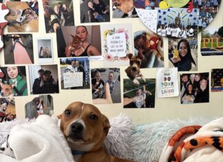 Pets of PLU: Pinto Bean Burrito
