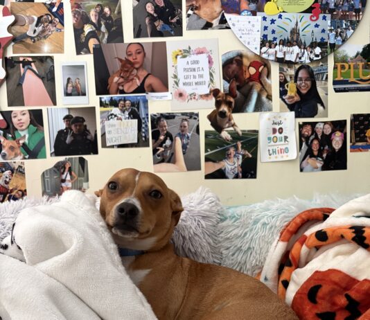 Pets of PLU: Pinto Bean Burrito
